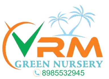 VRM Green Nursery